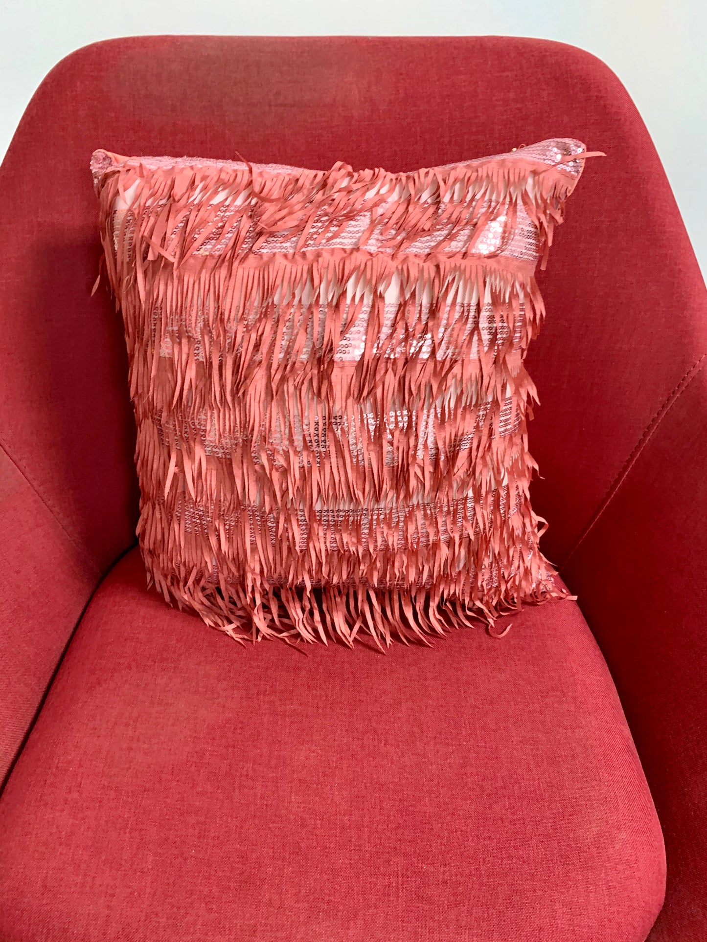 Frill with Sequence on Net Throw Pillows